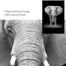 Load image into Gallery viewer, Fashion Women Eyebrows Lashes Art Black and White Posters Wall Prints Painting Oil Painting on Canvas Posters Print Art Picture-1