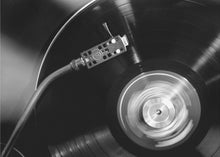 Load image into Gallery viewer, Wall art Vinyl_002-1